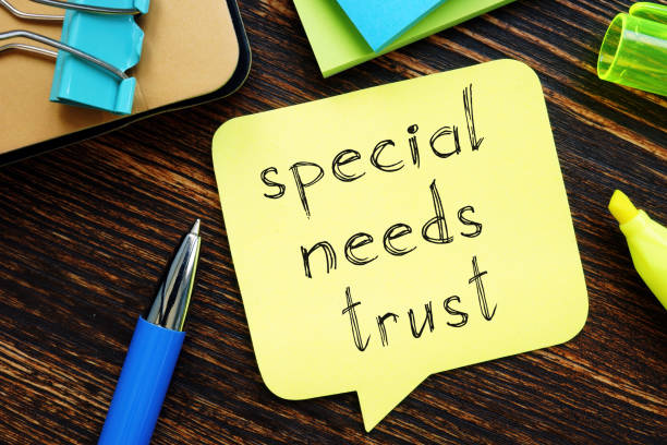 special needs trust michigan